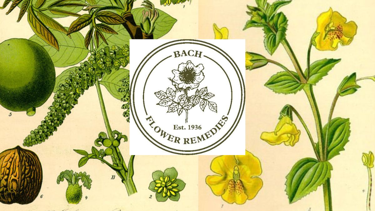 Terapéuticas Flores de Bach